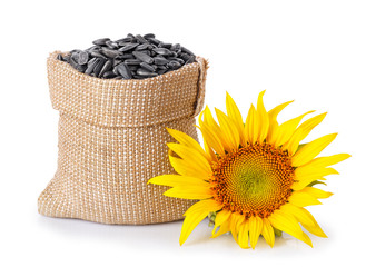 sunflower seeds in bag