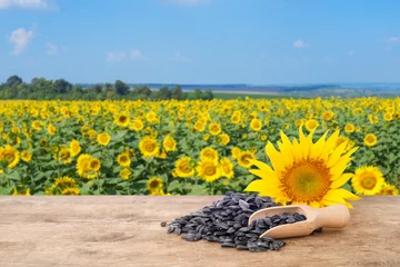 Rolgordijnen pile of sunflower seeds © alter_photo