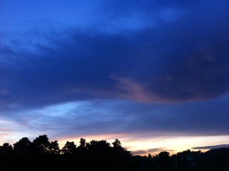 sunset at forest