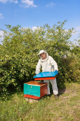 beekeeper opening hive