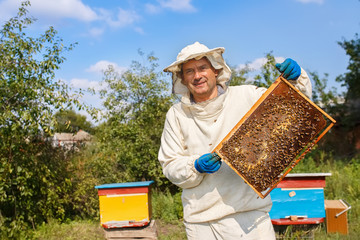 beekeeper with honeycomb in the apiary