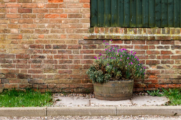 Flower pot in front of a brick wall in the street UK