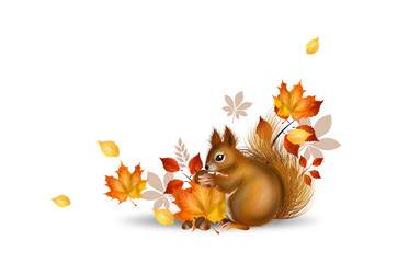 Autumn squirrel illustration