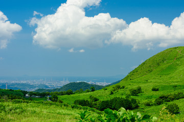 Obraz premium 夏の草原