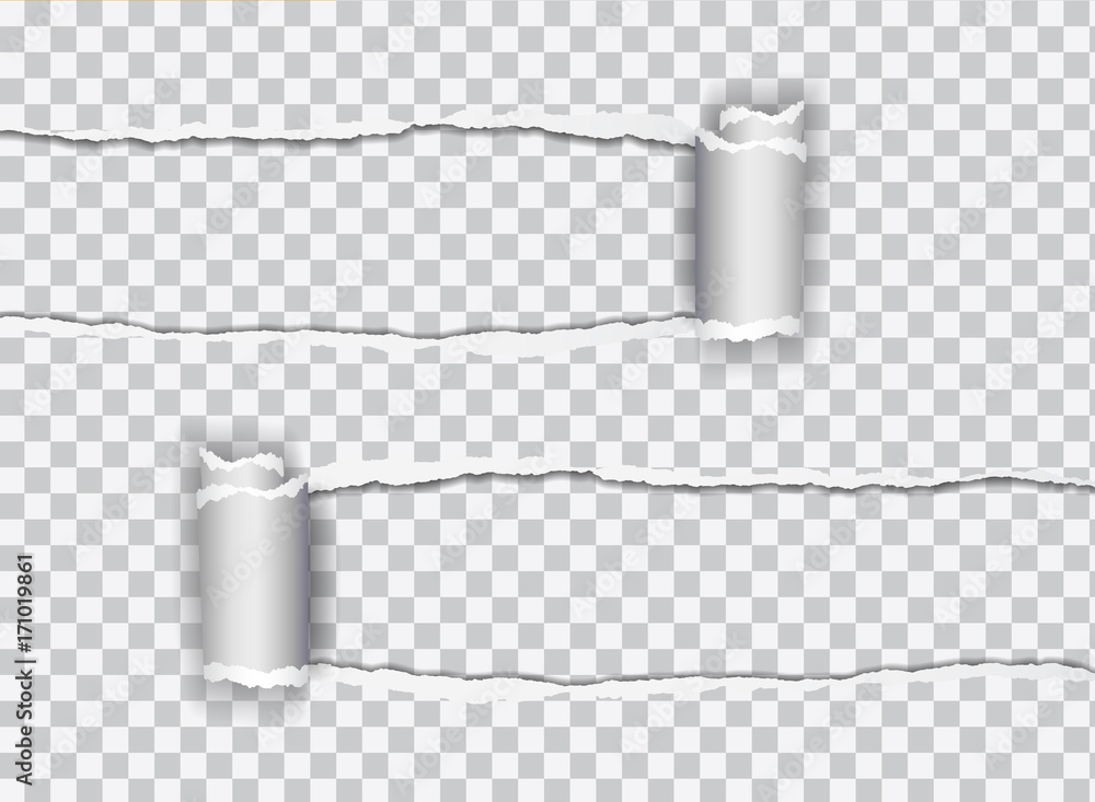 Poster set vector realistic illustration of transparent torn paper with rolled edge on transparent backgrou