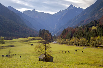 Allgäu - Oberstdorf - Herbst - Kühe - Berge - Panorama - Alpen - Traumtag