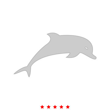 Dolphin it is icon .