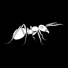 Ant it is icon .