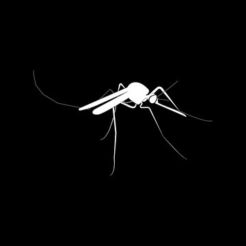 Mosquito it is icon .