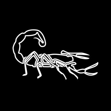 Scorpion it is icon .