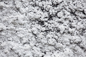 grunge cement wall texture