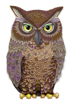 Oul illustration
