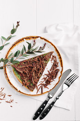 fruit tart with chocolate decorated with  branches with leaves