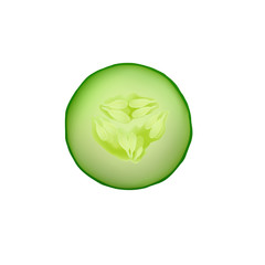 Cucumber vector isolated slice fresh icon illustration food green vegetable organic natural realistic circle nature