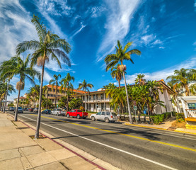 Palm trees in Santa Barbara - obrazy, fototapety, plakaty