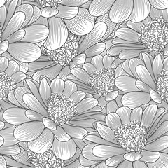 Monochrome seamless hand-drawing floral background with flower chamomile . Vector illustration.