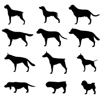 Dog silhouette vector icon pet set isolated animal black collection illustration