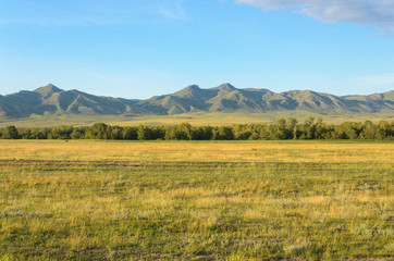 Sunny summer landscape, hills, forest, blue sky