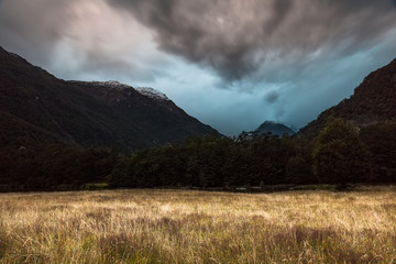 Near Glade House, Milford Track, Fiordland National Park