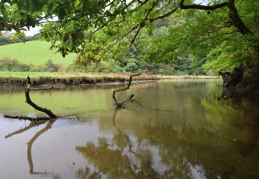 West Looe River Cornwall