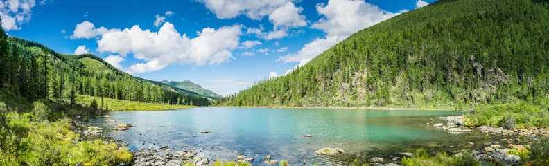  Panoramic view on mountain lake in front of mountain range, national park in Altai republic, Siberia, Russia © VarnakovR