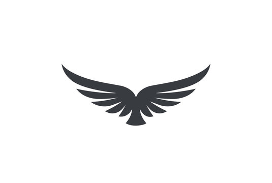 Eagle soaring rising Wings Logo vector. Luxury flying bird icon