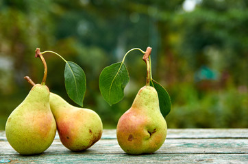 Three green pears with leaves on wooden green brown aged texture background close up. Pears on blurred nature background. Side view