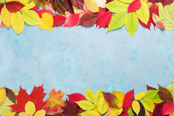 Naklejka na ściany i meble Colorful autumn leaves background banner top view. Fall sale mockup. Copy space for text.