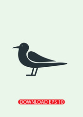 Seagull icon, Vector