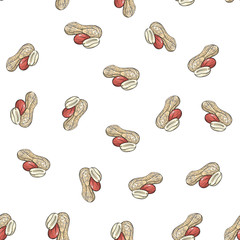 Vector peanut seamless pattern. Hand drawn fruit illustration