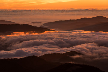 Fototapeta na wymiar Milky fog over forest and mountains