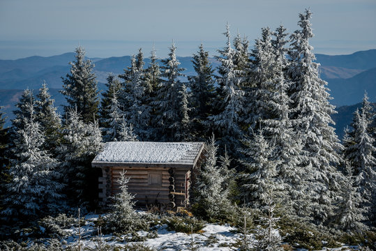 Old challet in the forest