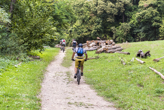 people ride a bicycle through the forest