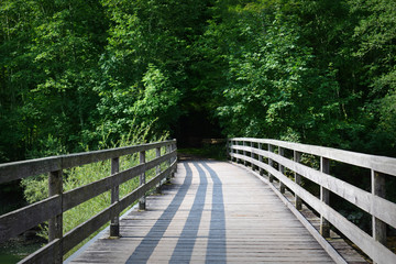 Holzbrücke im Wald, Holzbrücke, Wald, Baum, Bäume, Hintersee, Österreich, Brücke am See, Wasser, Holz, Natur