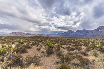 W&Uuml;ste um Las Vegas