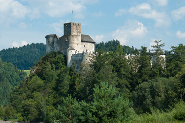 Fototapeta na wymiar Old Hungarian castle in Poland
