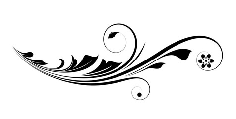 Modern Flourish Vector Design