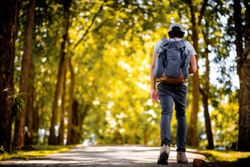 man traveling walking with backpack at national park in the jungle day time sun shine on holiday at weekend relax fresh on background nature view