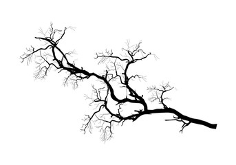 Tree Branch Black Shape Vector