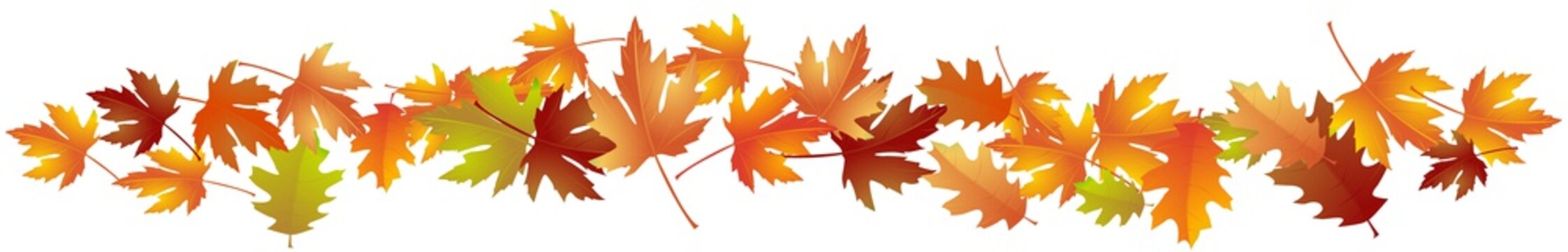 Herbstlaub
