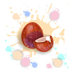 Coconut Fruit Logo Watercolor Splash Design Fresh Natural Food Vector Illustration