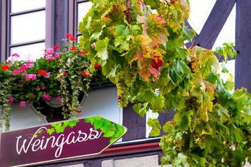 Oberwesel, Weinstadt am Mittelrhein, Rheinland Pfalz