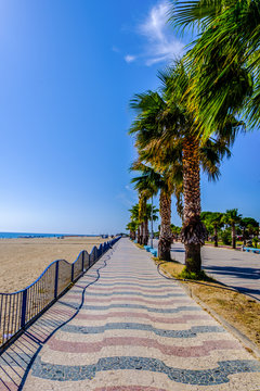 Soverato palm promenade