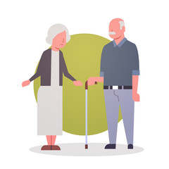 Senior Man And Woman Couple Grandmother And Grandfathr Gray Hair Icon Full Length Flat Vector Illustration