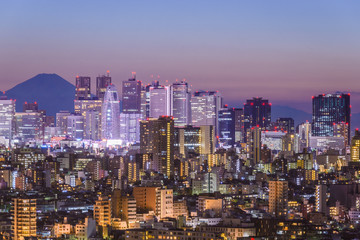 Fototapeta na wymiar Tokyo, Japan cityscape with Fuji.