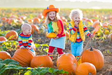 Fototapeta premium Kids picking pumpkins on Halloween pumpkin patch