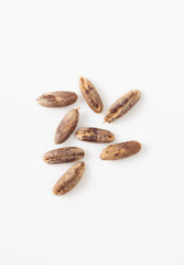 Bone figs on a white background. Place for text.