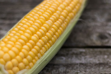 Yellow Sweet Corn cob on a patina wood surface