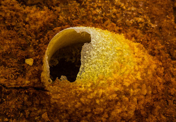 Sulphuric springs in Dallol desert of Ethiopia