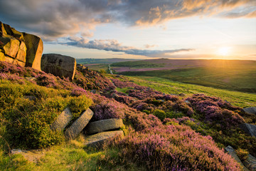 Beautiful summer evening with Heather in full bloom in the Peak District. - 171040619